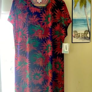 LulaRoe Maria Dress